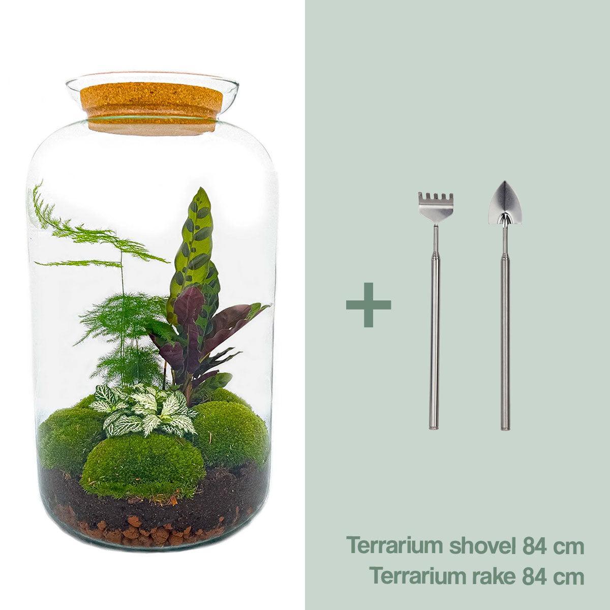 DIY terrarium - Botanical Sven XL - ↕ 43 cm - Vivaflorique