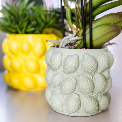 Kolibri Home | Citrus pot groen - Ø6cm - Vivaflorique