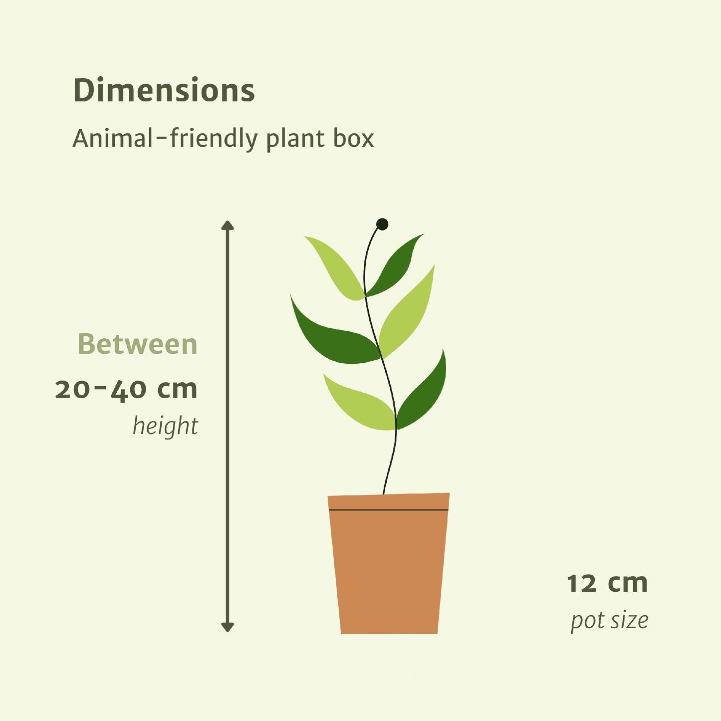 Diervriendelijke plantenbox - 4 stuks - Ø12cm - ↕20-40cm - Vivaflorique