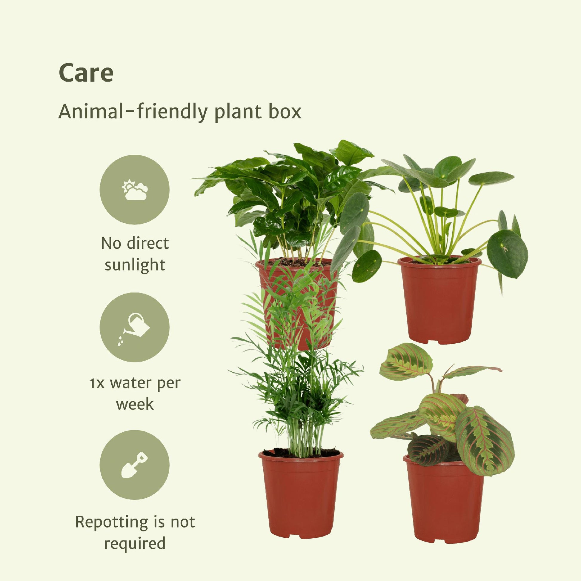 Diervriendelijke plantenbox - 4 stuks - Ø12cm - ↕20-40cm - Vivaflorique