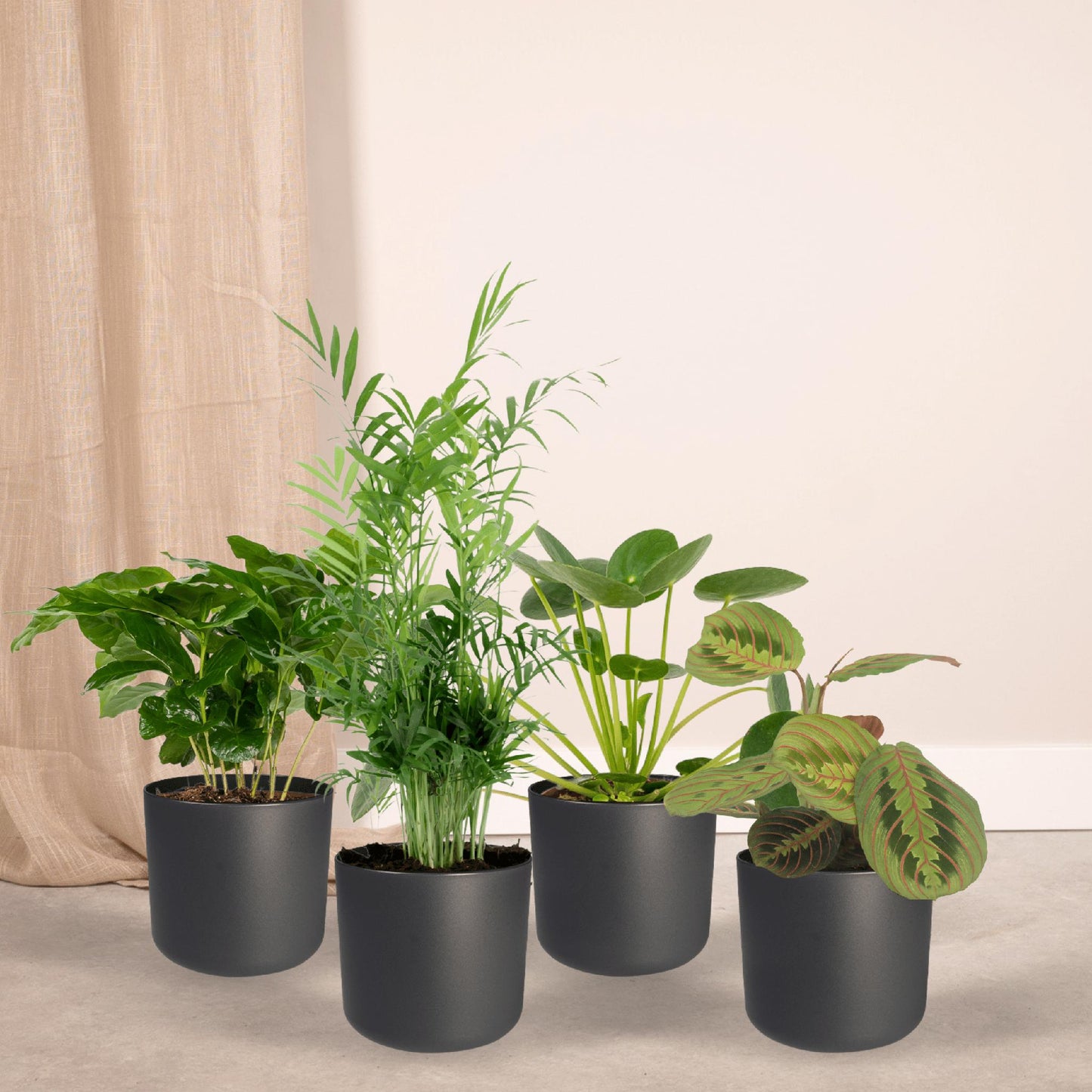 Diervriendelijke plantenbox - 4 stuks - Ø12cm - ↕20-40cm - Vivaflorique