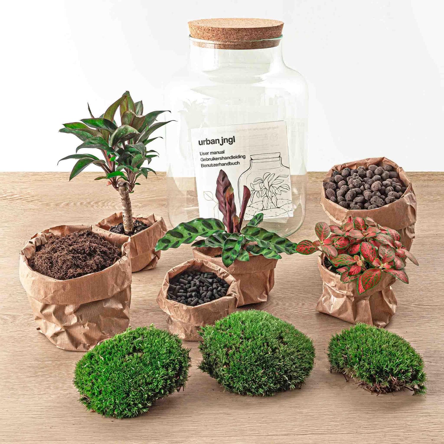 DIY terrarium - Milky Palm - ↕ 30 cm - Vivaflorique