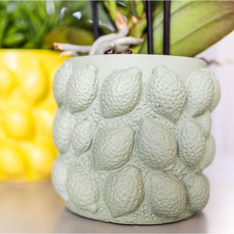 Kolibri Home | Citrus pot groen - Ø12cm - Vivaflorique