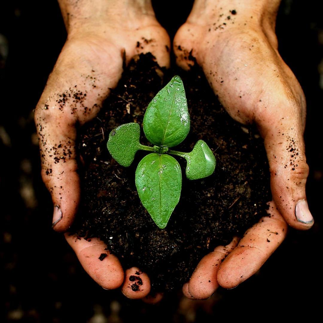 Culvita Universele Potgrond inclusief 2 maanden plantenvoeding - 40 liter - Vivaflorique