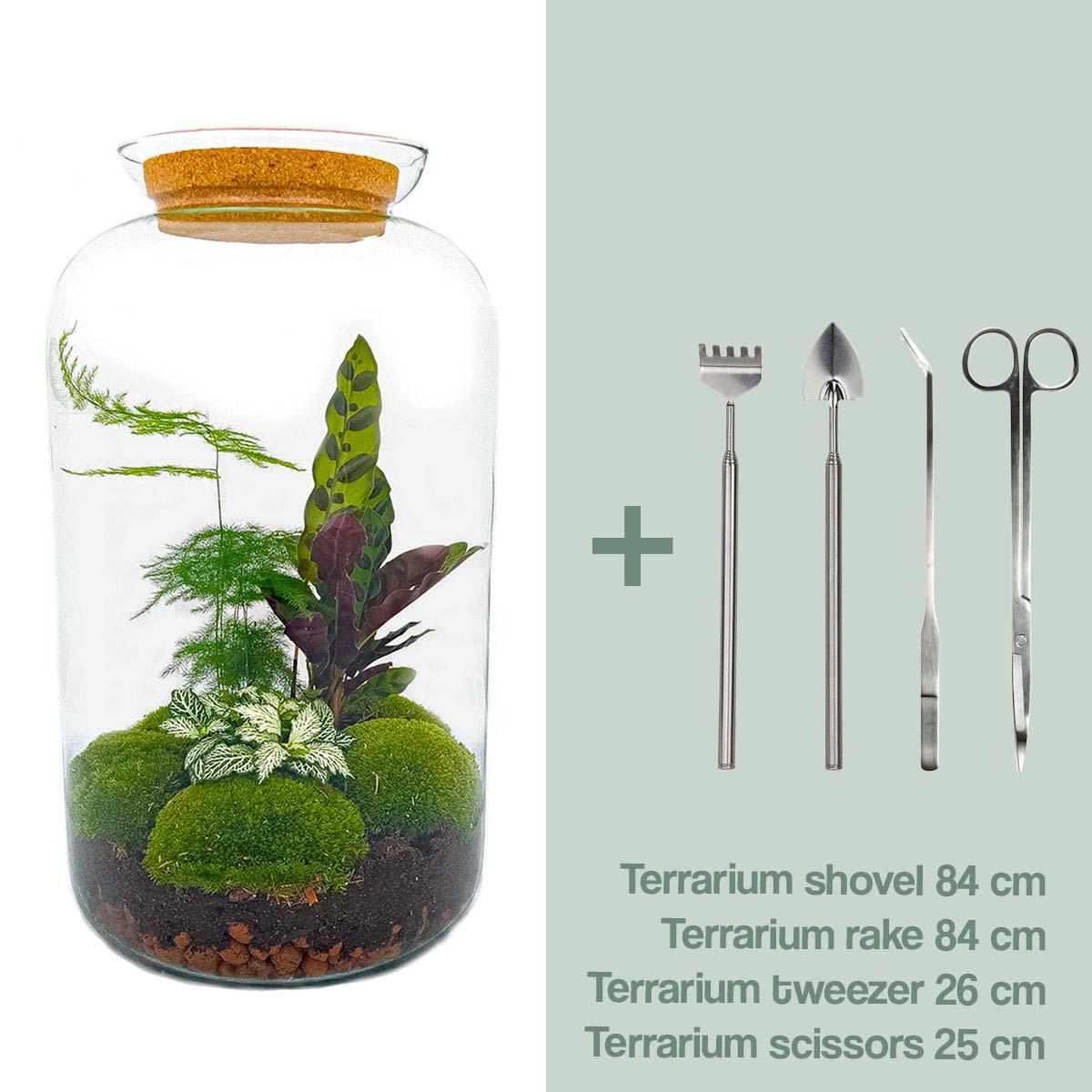 DIY terrarium - Botanical Sven XL - ↕ 43 cm - Vivaflorique