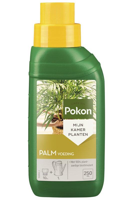 Pokon palm plant voeding 250ML - Vivaflorique