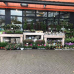 AC9h4nqe7AXmsucRFcLeBUZyHhT4DE Z0crUUPYmYKh7eQQhdOL4badcCO KuNaH iuXUDv1Ukg5lbmFgnA3TOiBWV UP6Rlc4XOQ2Sy An0yP7Ka8iyIaHsVidQCSR4hrv2Z9iButcw408 h306 k no