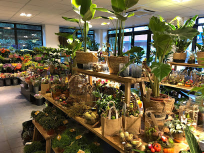 AF1QipOX9jwHfryAqLhvhCVfLMgDuACeOk 5SfN5bwEJw408 h306 k no